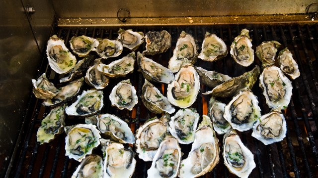 Recipe: Grilled Oysters